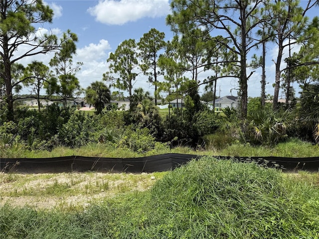 3804 NE 9th Place, Cape Coral, FL 33909 - photo 16