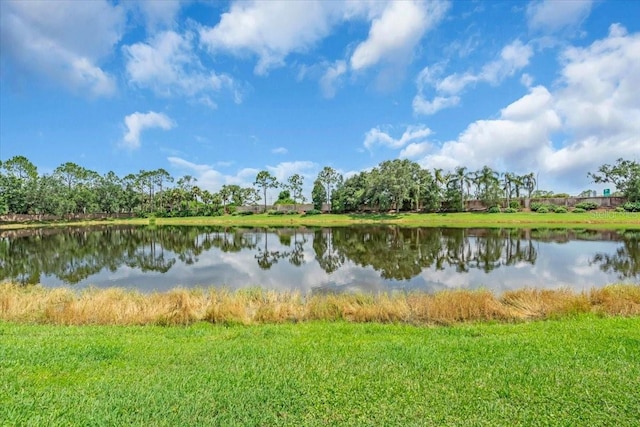 1438 Brambling Ct, Bradenton, FL 34212 - photo 43