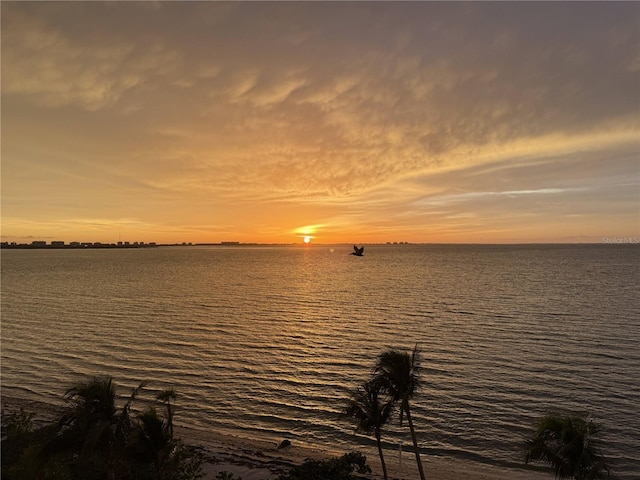 11 Sunset Dr Unit 502, Sarasota, FL 34236 - photo 4