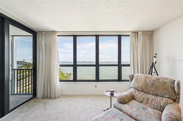 11 Sunset Dr Unit 502, Sarasota, FL 34236 - photo 20