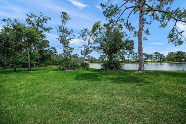 8305 Flagstaff Way, Sarasota, FL 34241 - photo 34