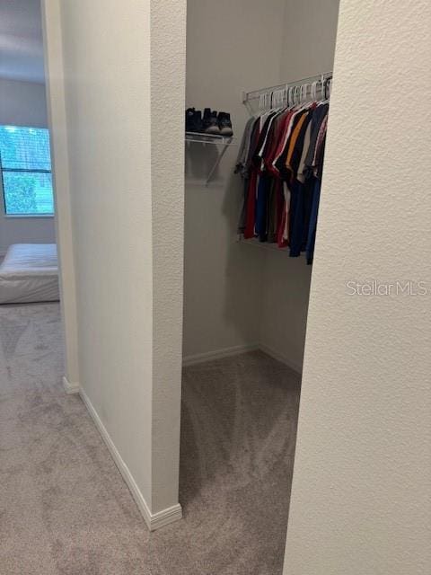 2235 50th Street Cir E, Palmetto, FL 34221 - photo 28