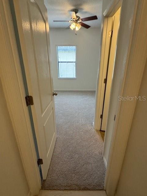 2235 50th Street Cir E, Palmetto, FL 34221 - photo 45