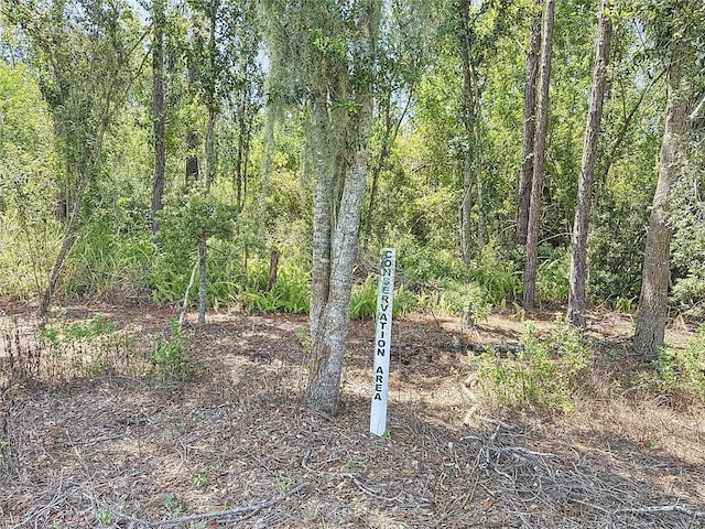 324 165th Ct NE, Bradenton, FL 34212 - photo 42