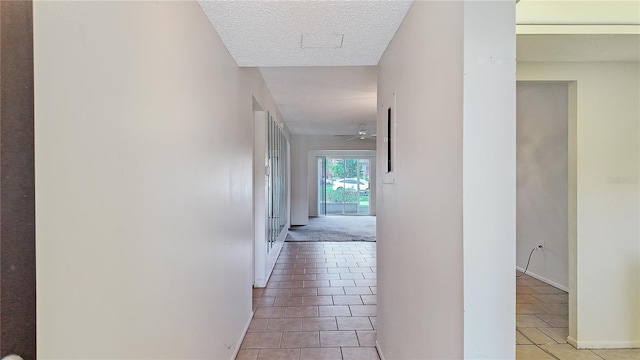 4127 Heron Way Unit 111, Bradenton, FL 34205 - photo 3