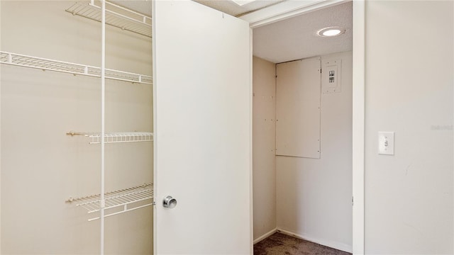4127 Heron Way Unit 111, Bradenton, FL 34205 - photo 18