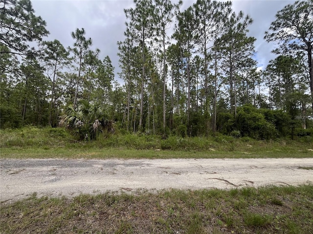 TBD SE 128th Ave, Dunnellon, FL 34431 - photo 1