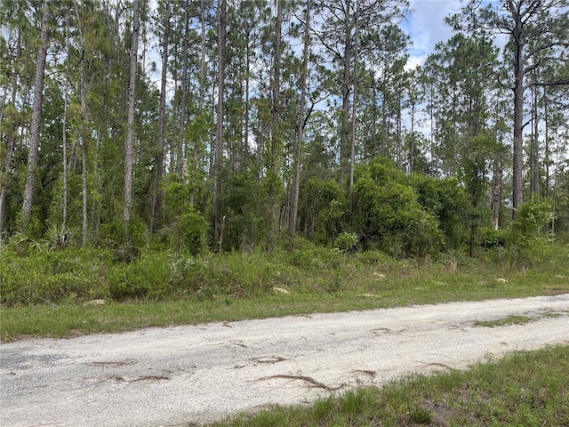 TBD SE 128th Ave, Dunnellon, FL 34431 - photo 2