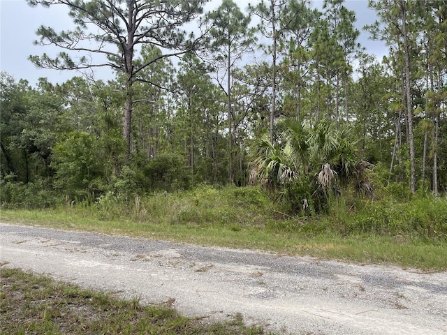 TBD SE 128th Ave, Dunnellon, FL 34431 - photo 3
