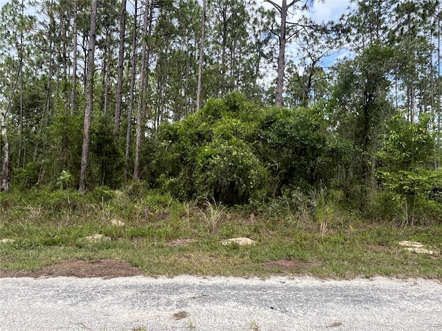 TBD SE 128th Ave, Dunnellon, FL 34431 - photo 4