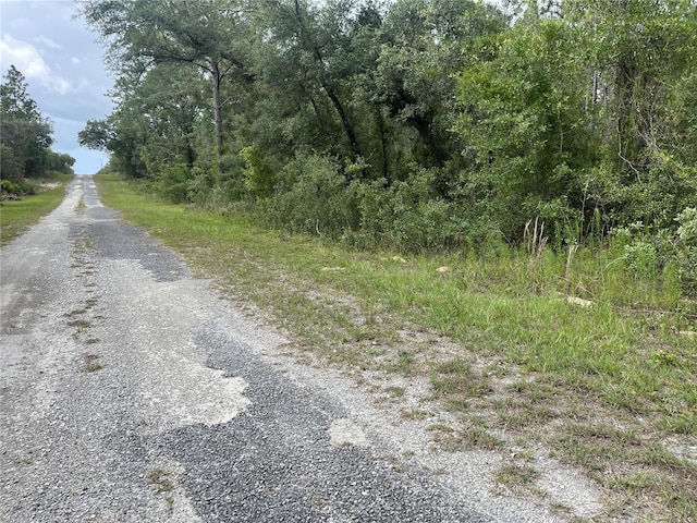 TBD SE 128th Ave, Dunnellon, FL 34431 - photo 5