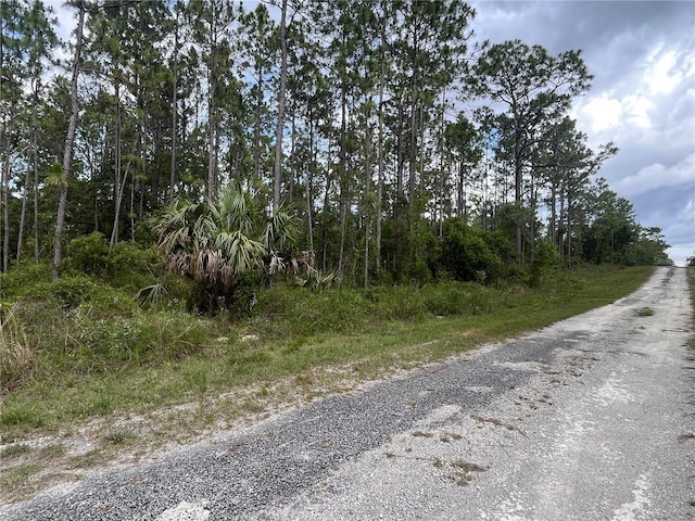 TBD SE 128th Ave, Dunnellon, FL 34431 - photo 6