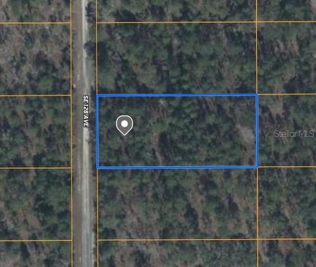 TBD SE 128th Ave, Dunnellon, FL 34431 - photo 7