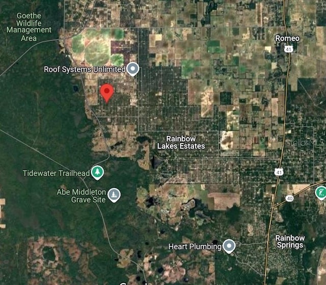 TBD SE 128th Ave, Dunnellon, FL 34431 - photo 8