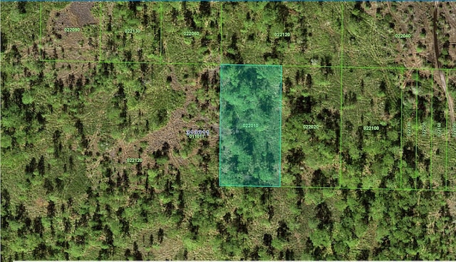 31-32-11-000000-022010 River Ranch Blvd, Lake Wales, FL 33898 - photo 1