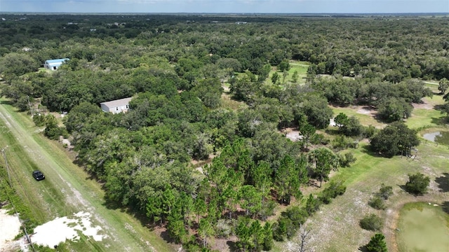 17420 NW 266th St, Okeechobee, FL 34972 - photo 4