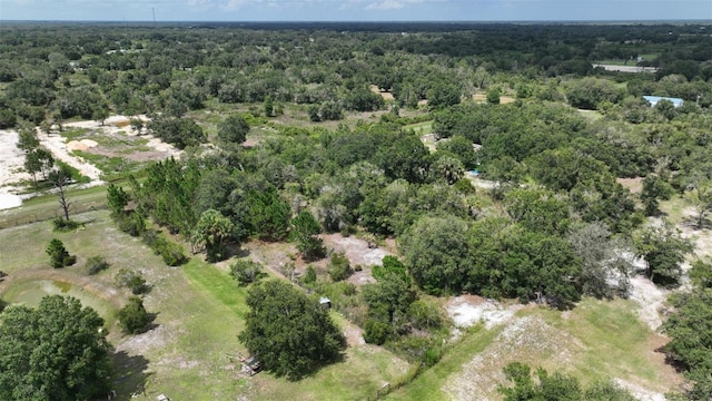 17420 NW 266th St, Okeechobee, FL 34972 - photo 5