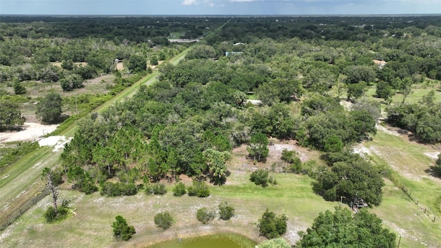 17420 NW 266th St, Okeechobee, FL 34972 - photo 6