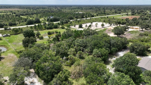17420 NW 266th St, Okeechobee, FL 34972 - photo 7