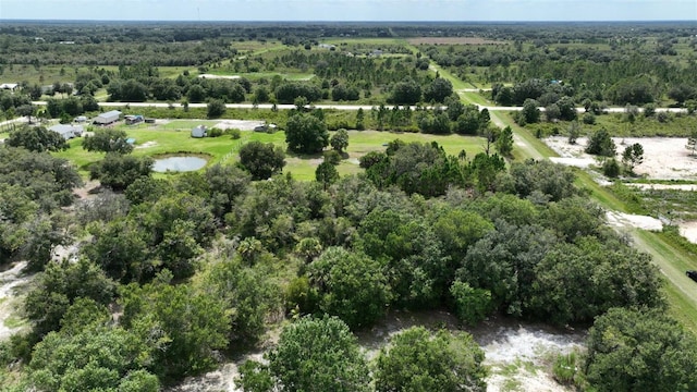 17420 NW 266th St, Okeechobee, FL 34972 - photo 8