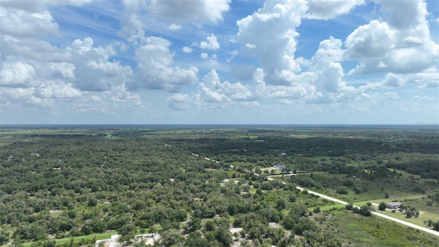 17420 NW 266th St, Okeechobee, FL 34972 - photo 9