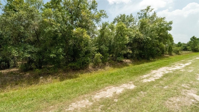 17420 NW 266th St, Okeechobee, FL 34972 - photo 10