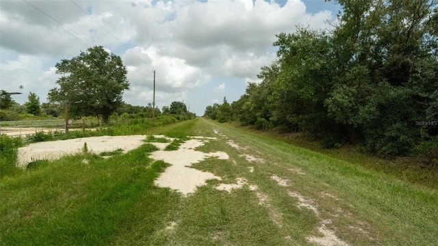 17420 NW 266th St, Okeechobee, FL 34972 - photo 11