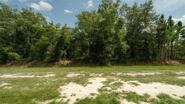 17420 NW 266th St, Okeechobee, FL 34972 - photo 12