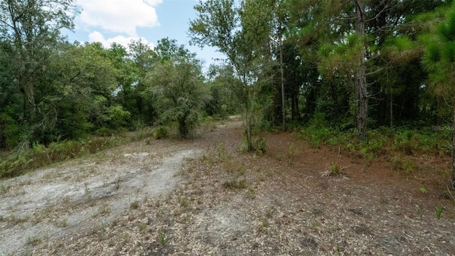 17420 NW 266th St, Okeechobee, FL 34972 - photo 14