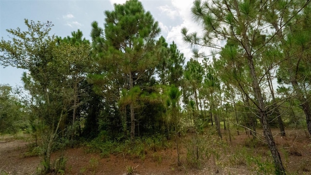 17420 NW 266th St, Okeechobee, FL 34972 - photo 16