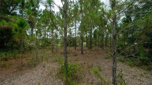 17420 NW 266th St, Okeechobee, FL 34972 - photo 17
