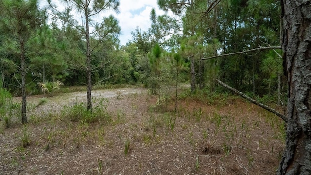 17420 NW 266th St, Okeechobee, FL 34972 - photo 18