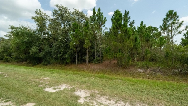 17420 NW 266th St, Okeechobee, FL 34972 - photo 19