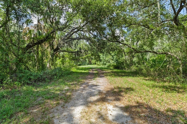 14450 Manatee Rd, Parrish, FL 34219 - photo 32