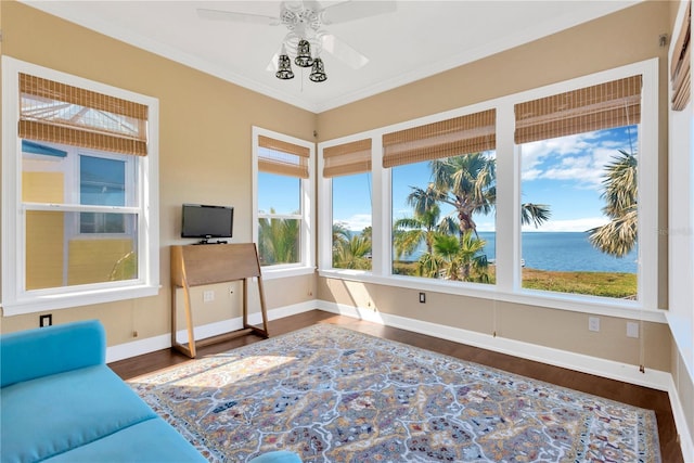 511 Seaview Dr, Tarpon Springs, FL 34689 - photo 41