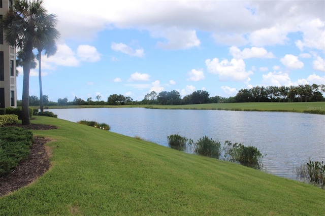 7121 River Hammock Dr Unit 302, Bradenton, FL 34212 - photo 44
