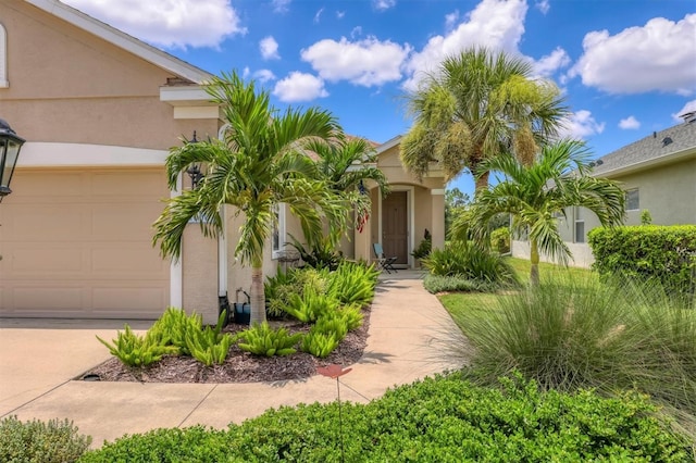 1630 White Breeze Cv, Bradenton, FL 34208 - photo 3