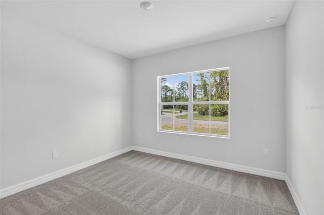 2799 Cranbrook Ave, North Port, FL 34286 - photo 27