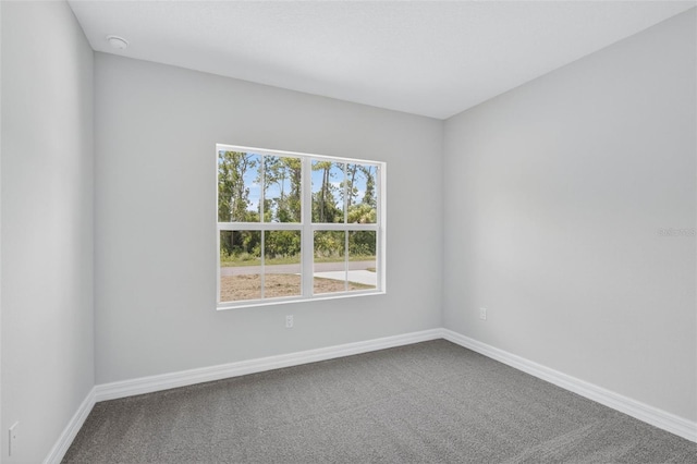 2799 Cranbrook Ave, North Port, FL 34286 - photo 30
