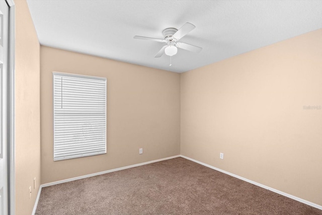 11814 Colyar Ln, Parrish, FL 34219 - photo 28