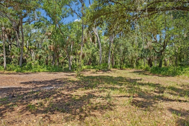 9435 Swaying Branch Rd, Sarasota, FL 34241 - photo 10