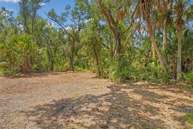 9435 Swaying Branch Rd, Sarasota, FL 34241 - photo 11