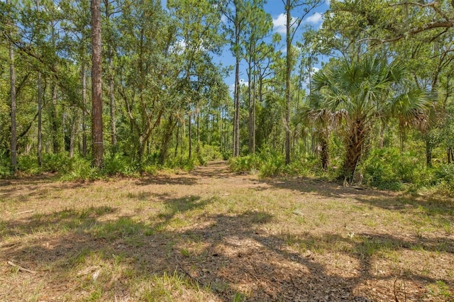9435 Swaying Branch Rd, Sarasota, FL 34241 - photo 12