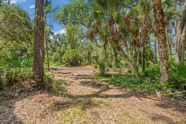 9435 Swaying Branch Rd, Sarasota, FL 34241 - photo 13