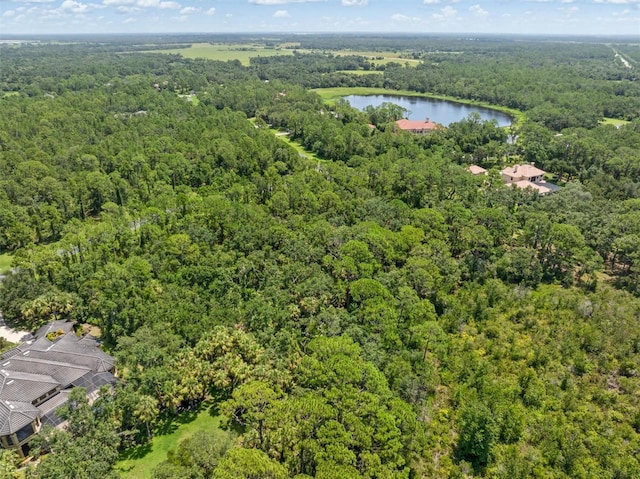 9435 Swaying Branch Rd, Sarasota, FL 34241 - photo 25