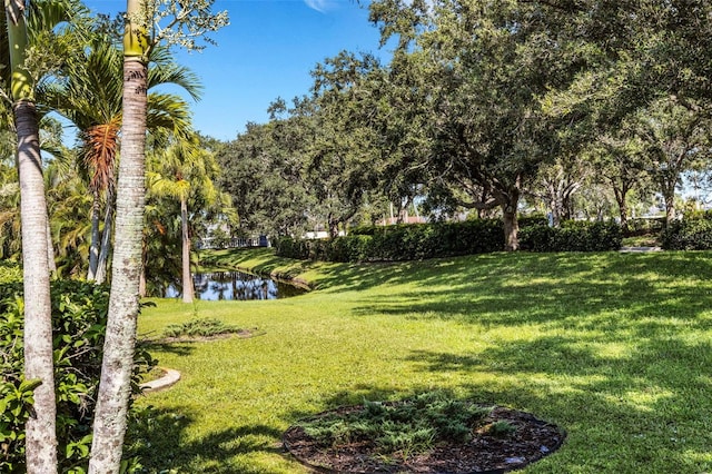 4557 Abacos Pl, Bradenton, FL 34203 - photo 44
