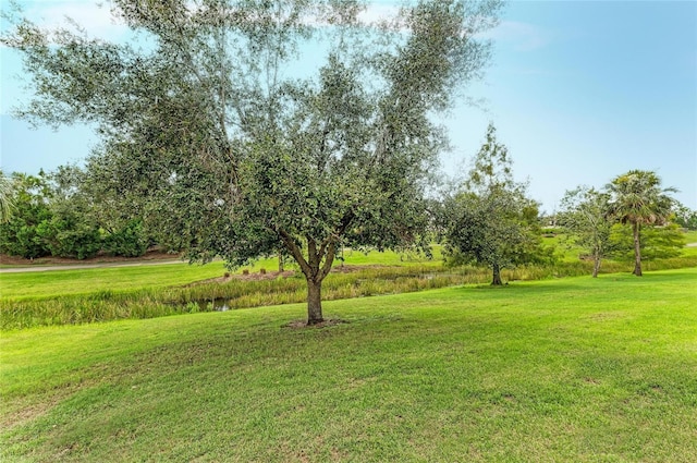 12826 Del Corso Loop, Lakewood Ranch, FL 34211 - photo 50