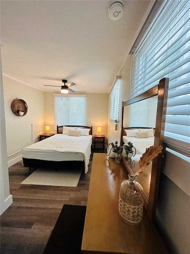 339 Suwanee Ave, Sarasota, FL 34243 - photo 51