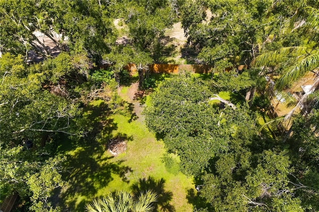 4007 Hudson Ln, Tampa, FL 33618 - photo 46