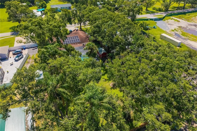 4007 Hudson Ln, Tampa, FL 33618 - photo 51